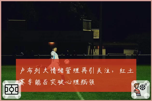 卢布列夫情绪管理再引关注,红土赛季能否突破心理瓶颈
